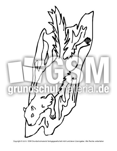 Ausmalbild-Eichhörnchen-A 14.pdf